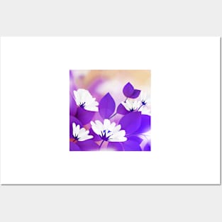 White Violet flower Art Posters and Art